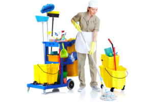 Lady with cleaning tools